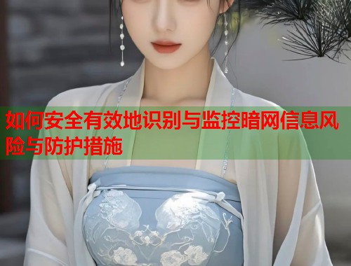 如何安全有效地识别与监控暗网信息风险与防护措施