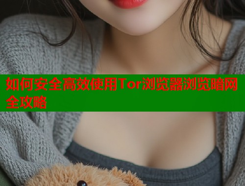 如何安全高效使用Tor浏览器浏览暗网全攻略