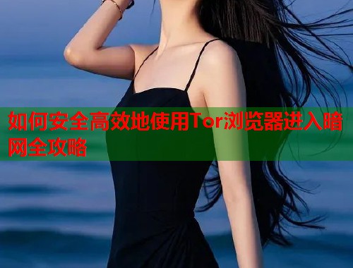 如何安全高效地使用Tor浏览器进入暗网全攻略