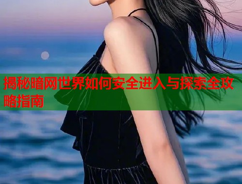 揭秘暗网世界如何安全进入与探索全攻略指南  第2张