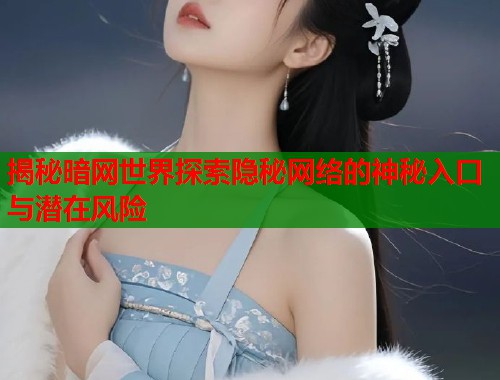 揭秘暗网世界探索隐秘网络的神秘入口与潜在风险  第1张