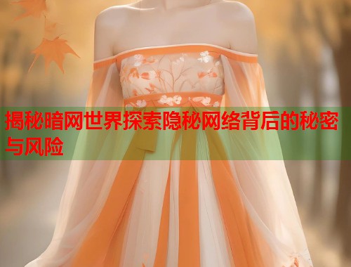揭秘暗网世界探索隐秘网络背后的秘密与风险  第1张
