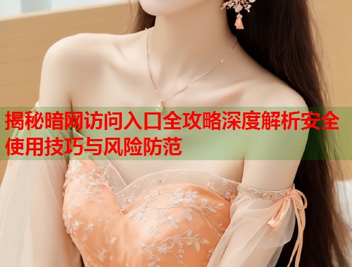 揭秘暗网访问入口全攻略深度解析安全使用技巧与风险防范  第1张