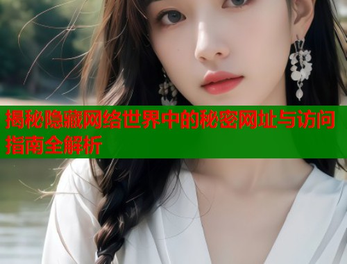 揭秘隐藏网络世界中的秘密网址与访问指南全解析