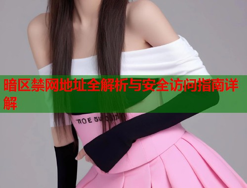 暗区禁网地址全解析与安全访问指南详解  第2张