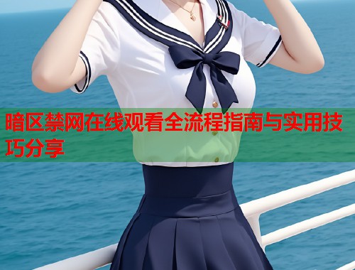 暗区禁网在线观看全流程指南与实用技巧分享  第1张