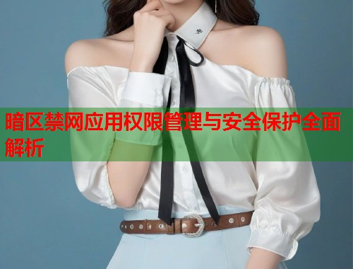 暗区禁网应用权限管理与安全保护全面解析