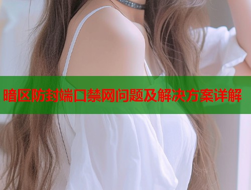 暗区防封端口禁网问题及解决方案详解