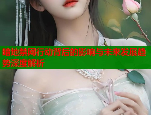 暗地禁网行动背后的影响与未来发展趋势深度解析
