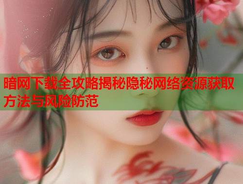 暗网下载全攻略揭秘隐秘网络资源获取方法与风险防范