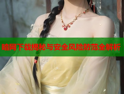 暗网下载揭秘与安全风险防范全解析