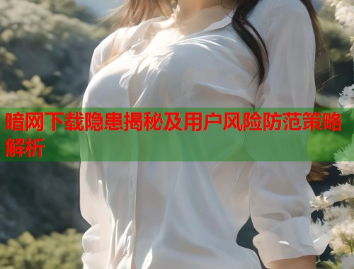 暗网下载隐患揭秘及用户风险防范策略解析