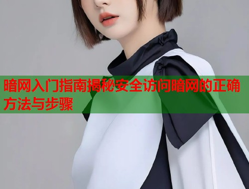 暗网入门指南揭秘安全访问暗网的正确方法与步骤