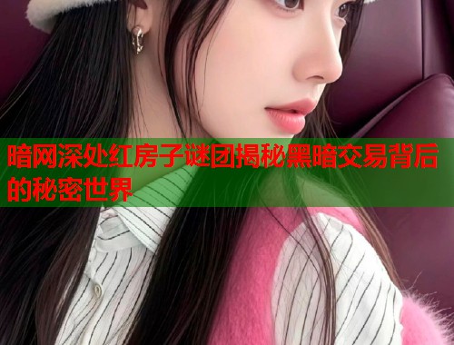 暗网深处红房子谜团揭秘黑暗交易背后的秘密世界  第2张