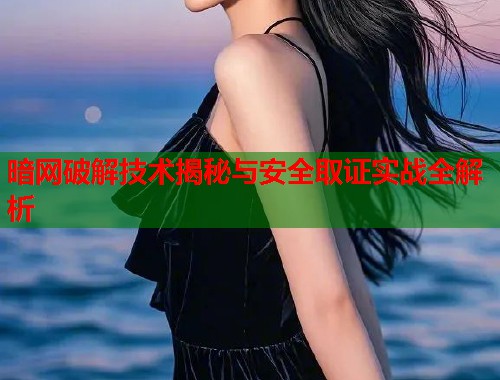暗网破解技术揭秘与安全取证实战全解析