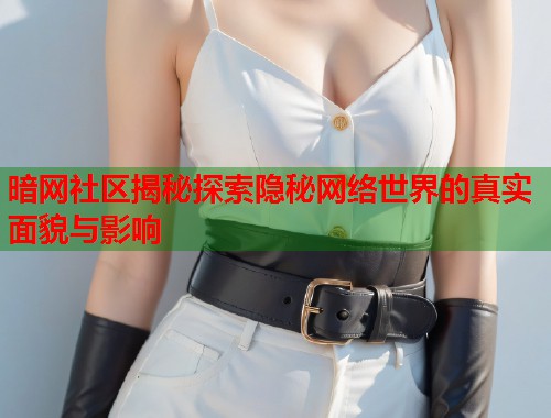 暗网社区揭秘探索隐秘网络世界的真实面貌与影响
