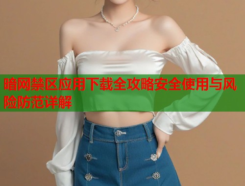 暗网禁区应用下载全攻略安全使用与风险防范详解