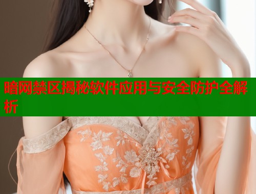 暗网禁区揭秘软件应用与安全防护全解析