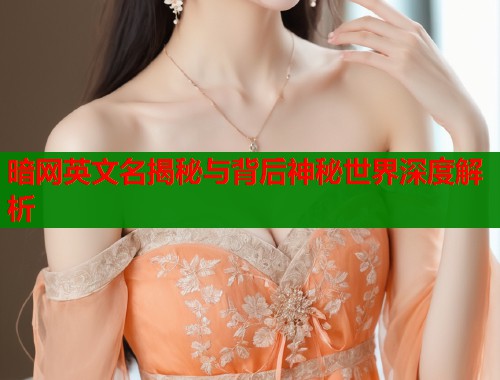 暗网英文名揭秘与背后神秘世界深度解析
