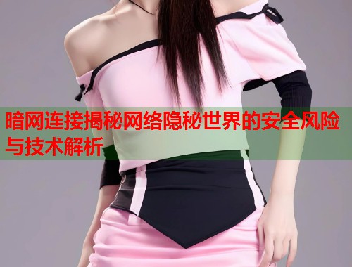 暗网连接揭秘网络隐秘世界的安全风险与技术解析