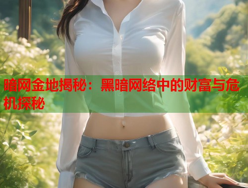 暗网金地揭秘：黑暗网络中的财富与危机探秘