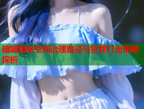 暗网隐秘空间治理路径与犯罪打击策略探析