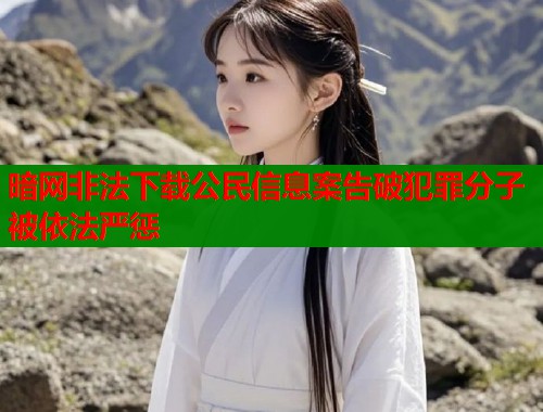 暗网非法下载公民信息案告破犯罪分子被依法严惩