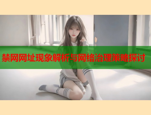 禁网网址现象解析与网络治理策略探讨