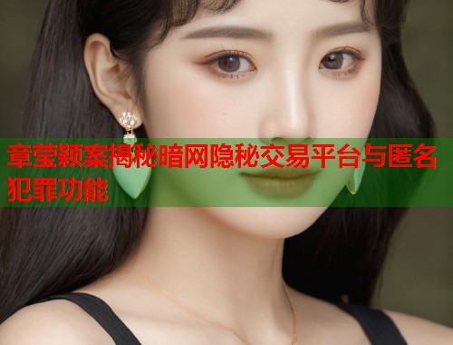 章莹颖案揭秘暗网隐秘交易平台与匿名犯罪功能