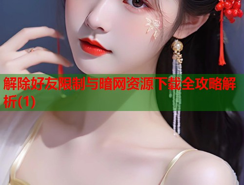 解除好友限制与暗网资源下载全攻略解析(1)