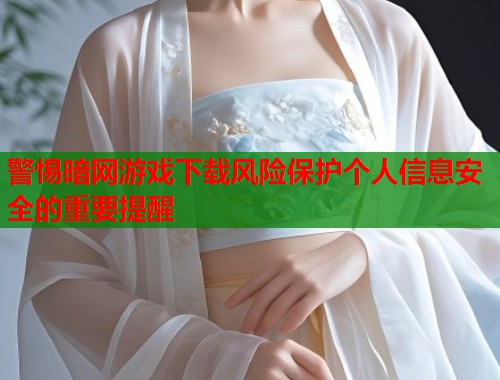 警惕暗网游戏下载风险保护个人信息安全的重要提醒